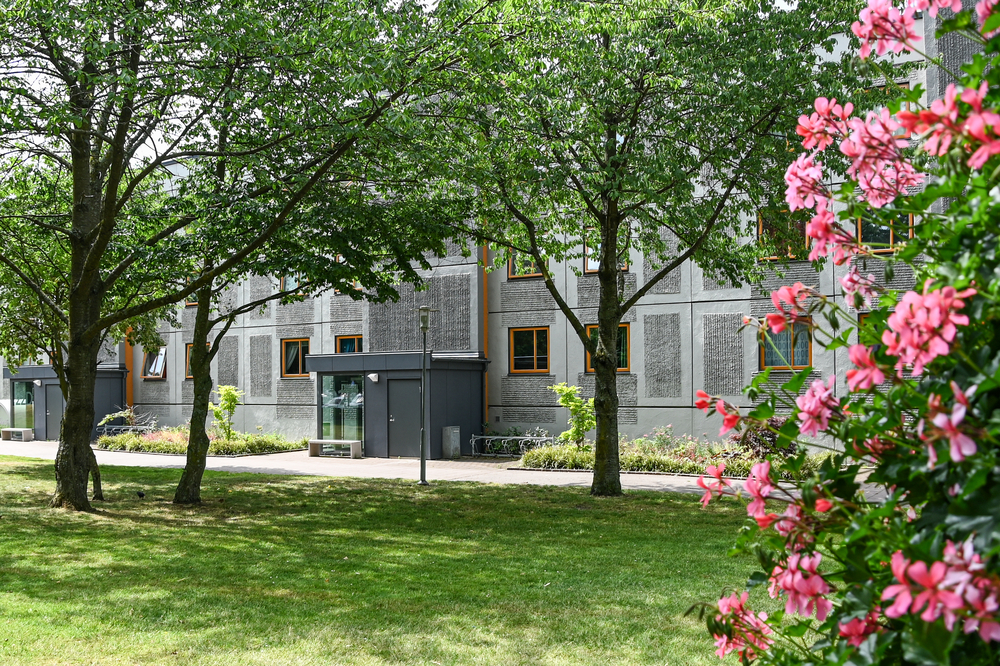 Gräs, buske till höger, träd och en fastighet längst fram.